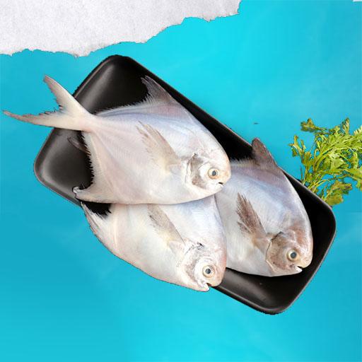 White Pomfret - Small (50-80)g